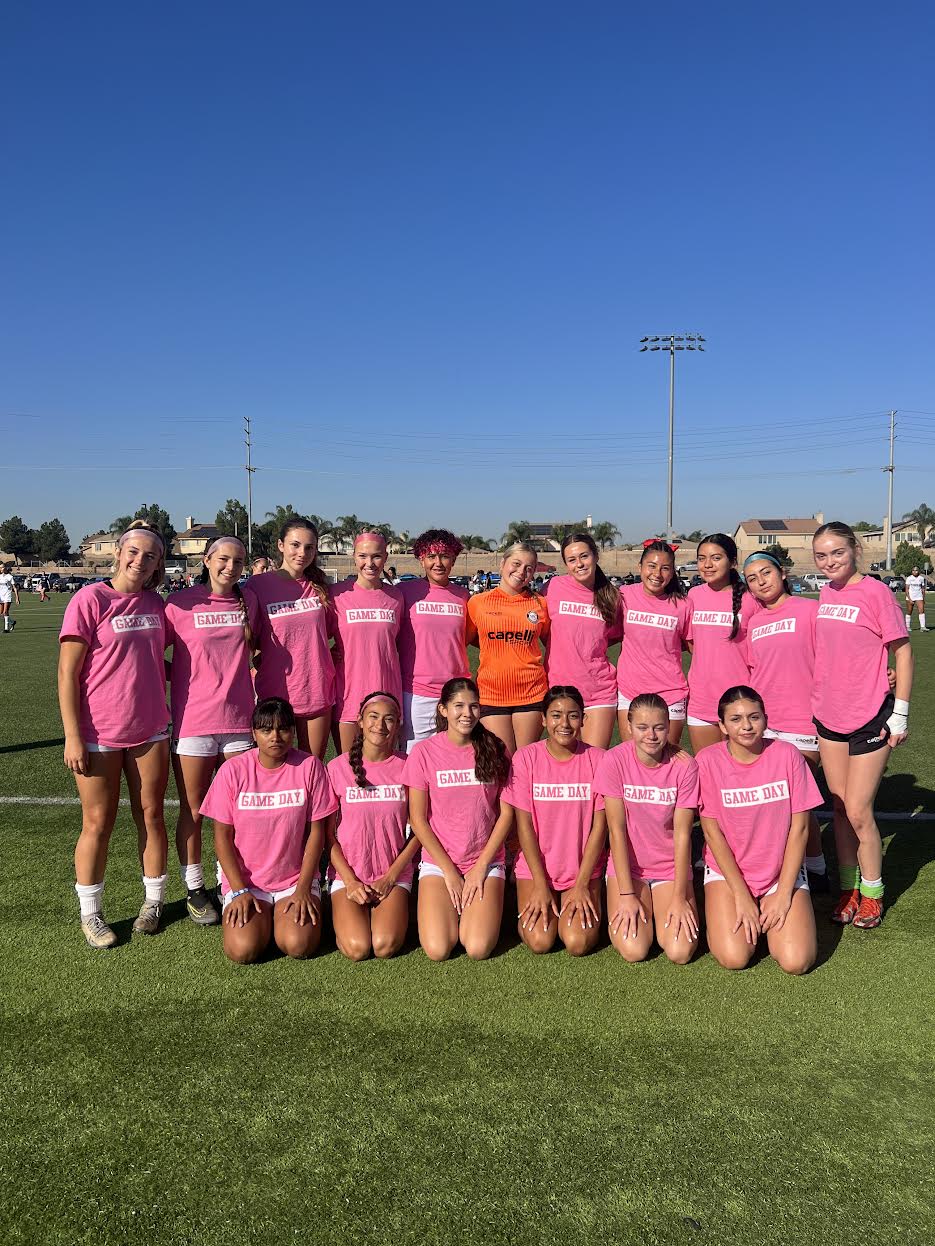 GAME DAY Breast Cancer Adult T-Shirt (TEAM ORDERS!)